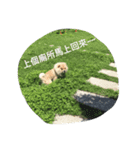 little dan（個別スタンプ：3）