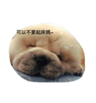 little dan（個別スタンプ：5）