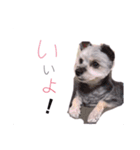 めいちゃん^._.^（個別スタンプ：7）
