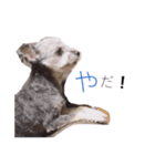 めいちゃん^._.^（個別スタンプ：8）