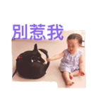chih-bau（個別スタンプ：2）