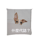 YABI YABI（個別スタンプ：7）