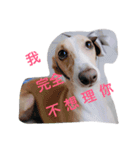 YABI YABI（個別スタンプ：11）