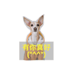 YABI YABI（個別スタンプ：13）
