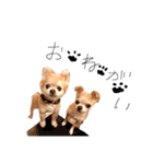 モンチ＆チムタム（個別スタンプ：6）