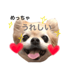 モンチ＆チムタム（個別スタンプ：33）