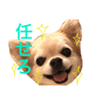 モンチ＆チムタム（個別スタンプ：39）