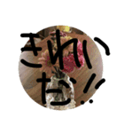 生活会話（個別スタンプ：16）