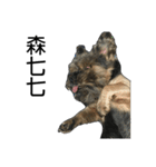 The Fatty Dumb Doggy（個別スタンプ：2）