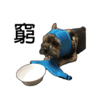 The Fatty Dumb Doggy（個別スタンプ：4）