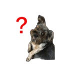 The Fatty Dumb Doggy（個別スタンプ：5）