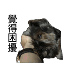 The Fatty Dumb Doggy（個別スタンプ：8）