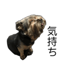 The Fatty Dumb Doggy（個別スタンプ：10）