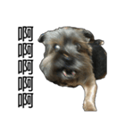 The Fatty Dumb Doggy（個別スタンプ：17）