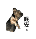 The Fatty Dumb Doggy（個別スタンプ：18）