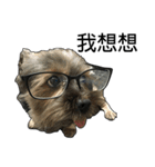 The Fatty Dumb Doggy（個別スタンプ：27）