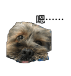 The Fatty Dumb Doggy（個別スタンプ：32）