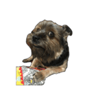The Fatty Dumb Doggy（個別スタンプ：34）