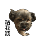 The Fatty Dumb Doggy（個別スタンプ：37）