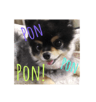 pon pon pon！（個別スタンプ：8）