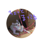 赤ちゃんしゅうニャン（個別スタンプ：5）