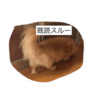 我が家のダックス☆（個別スタンプ：22）