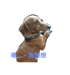 l'm Coca（個別スタンプ：9）