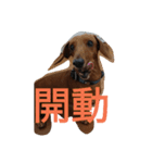 l'm Coca（個別スタンプ：10）
