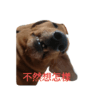 l'm Coca（個別スタンプ：16）