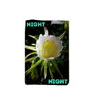 goodflower（個別スタンプ：5）