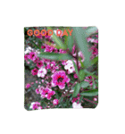 goodflower（個別スタンプ：9）