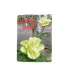goodflower（個別スタンプ：11）