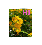 goodflower（個別スタンプ：13）