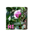 goodflower（個別スタンプ：14）