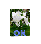 goodflower（個別スタンプ：22）