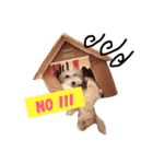 Bichon Penny（個別スタンプ：7）