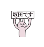 坂田さん 名字スタンプ（個別スタンプ：1）