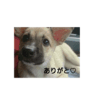 小梅の日曜日（個別スタンプ：8）