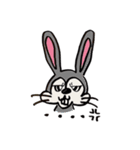 うさぎのモグ吉（個別スタンプ：1）