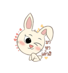 Khawji Baby Rabbit（個別スタンプ：5）