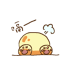 Pama Bear（個別スタンプ：11）