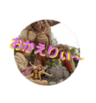 あいさつともみ（個別スタンプ：24）