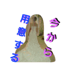 あいさつともみ（個別スタンプ：37）