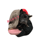 French Bulldog_Yujin2（個別スタンプ：3）