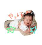 かわいいこったん（個別スタンプ：1）