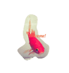 Hello Golden Fish！（個別スタンプ：2）