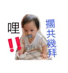 BabyEgg（個別スタンプ：3）