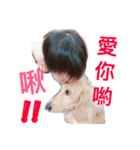 BabyEgg（個別スタンプ：17）