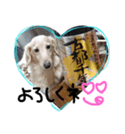 renka with himawari（個別スタンプ：14）