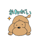 癒されトイプーチェリーとメロン（個別スタンプ：1）